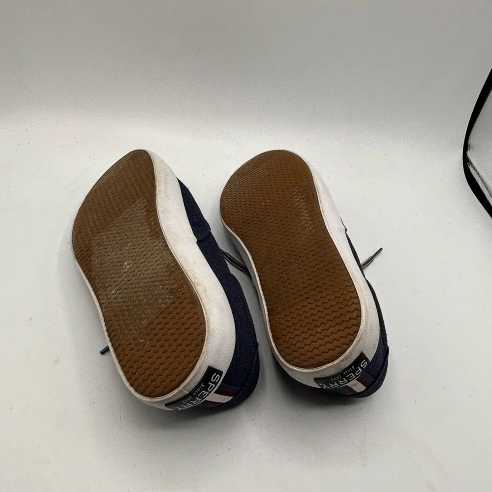 Sperry Men's Navy Casual Shoes